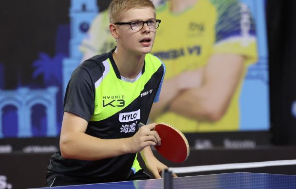 可以看出 可以看出